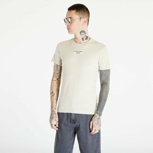 Calvin Klein Jeans Transparent Stripe S/S T-Shirt Beige