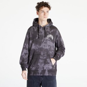 Champion Hooded Sweatshirt Grey