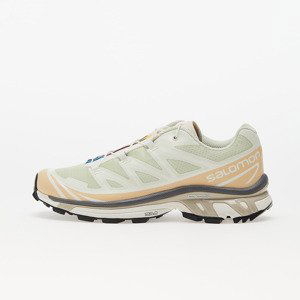 Salomon XT-6 Aloe Wash/ Hzlnut/ Feather Gray