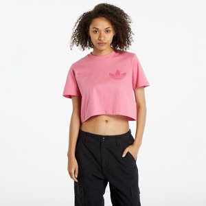 adidas Cropped Tee Roston