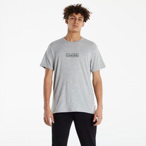 Calvin Klein Reimagined Her Lw S/S Crew Neck Grey