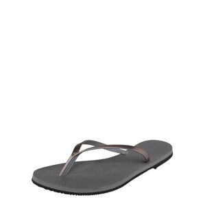 HAVAIANAS Žabky  sivá / striebornosivá