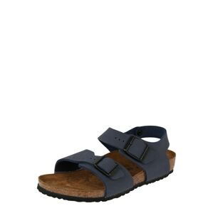 BIRKENSTOCK Otvorená obuv 'New York'  modrosivá