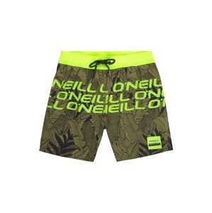 O'NEILL Plavky 'PB STACKED SHORTS'  zelená