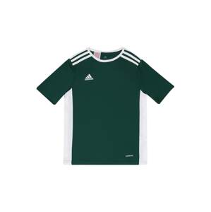 ADIDAS PERFORMANCE Funkčné tričko 'Entrada 18'  tmavozelená / biela