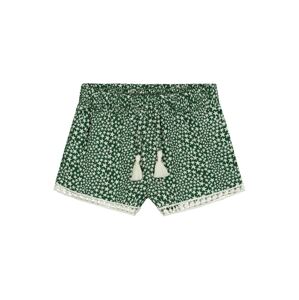 Shiwi Shorts 'Tuvalu'  zelená