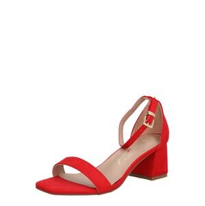 NEW LOOK Sandále 'ZANIEL'  červená