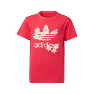 ADIDAS ORIGINALS Tričko  biela / pitaya / púdrová / ružová