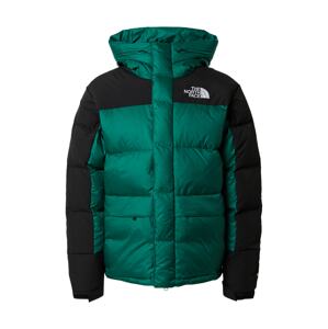 THE NORTH FACE Outdoorová bunda 'M HMLYN DOWN PARKA'  čierna / zelená