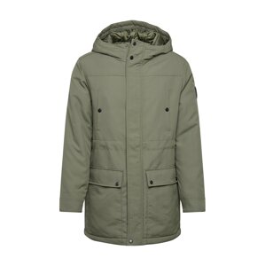 Only & Sons Jacke  zelená