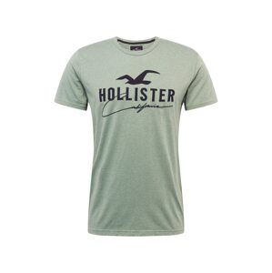 HOLLISTER Tričko  mätová / antracitová