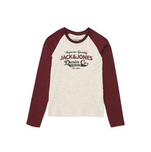 Jack & Jones Junior Tričko  bordová / béžová melírovaná