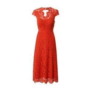 IVY & OAK Večerné šaty 'Lace'  jasne červená