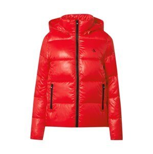 Calvin Klein Jeans Zimná bunda  červená