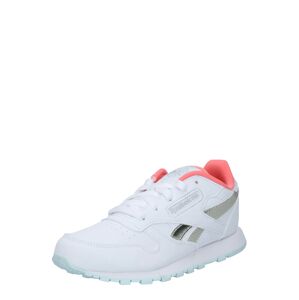 Reebok Classics Tenisky  biela / strieborná / koralová