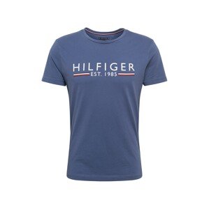 TOMMY HILFIGER Tričko  modrosivá / biela / červená