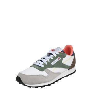 Reebok Classic Tenisky  biela / zelená / sivá / tmavohnedá / modrá