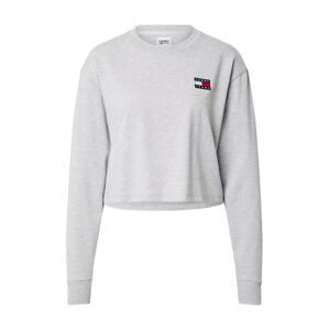 Tommy Jeans Mikina  sivá