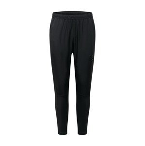 NIKE Športové nohavice 'Essential Run Division'  čierna / fialová