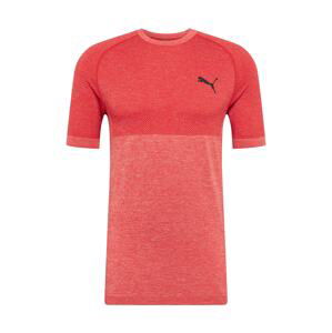 PUMA Funkčné tričko 'Evoknit'  jasne červená / červená melírovaná