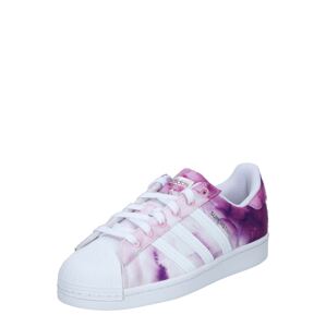 ADIDAS ORIGINALS Nízke tenisky 'SUPERSTAR'  fialová / pastelovo fialová / biela / farba lesného ovocia