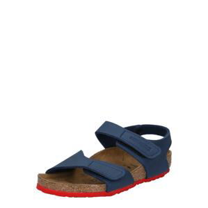 BIRKENSTOCK Otvorená obuv 'Palu'  modrá