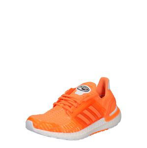 ADIDAS PERFORMANCE Bežecká obuv  oranžová / sivá