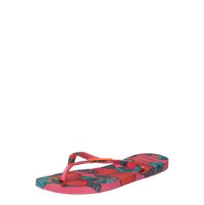 HAVAIANAS Žabky 'SUMMER'  ružová / zmiešané farby