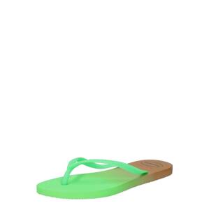 HAVAIANAS Žabky  svetlozelená / hnedá