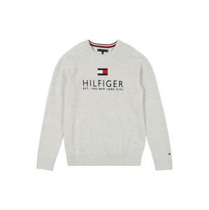 TOMMY HILFIGER Sveter  sivá / námornícka modrá / biela / červená