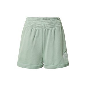 Nike Sportswear Shorts  tyrkysová / biela