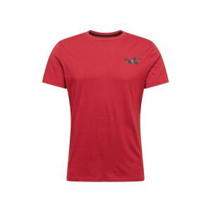 HOLLISTER Shirt 'EXPLODED'  červená / čierna