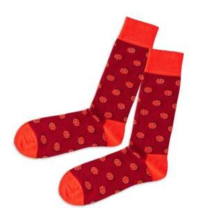DillySocks Ponožky  čierna / svetločervená