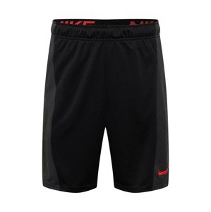 NIKE Shorts  čierna / antracitová