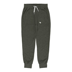 Abercrombie & Fitch Hose  kaki