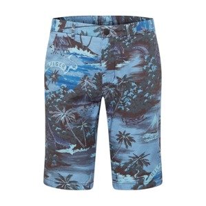 TOMMY HILFIGER Chino nohavice 'HAWAIIAN'  tmavomodrá / svetlomodrá / jedľová