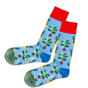 DillySocks Ponožky  modrá / červená / neónovo zelená / kaki / žltá