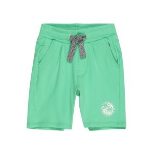 GARCIA Shorts  mätová / biela