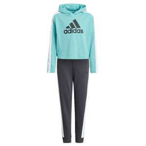 ADIDAS PERFORMANCE Trainingsanzug  nefritová / antracitová / biela