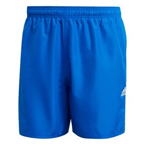 ADIDAS PERFORMANCE Surferské šortky  modrá / biela