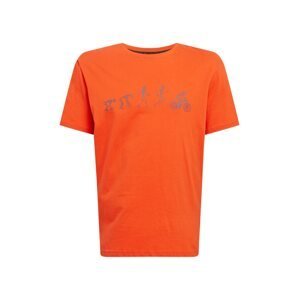 DARE2B Funkčné tričko  oranžová / sivá
