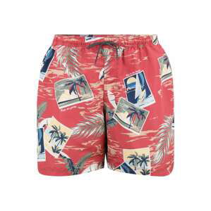 Jack & Jones Plus Plavecké šortky 'BALI'  telová / tmavomodrá / kaki / pitaya