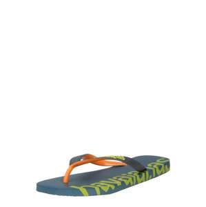 HAVAIANAS Žabky 'LOGOMANIA'  modrá / žltá / oranžová