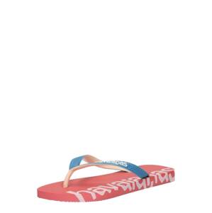 HAVAIANAS Žabky 'LOGOMANIA'  ružová / nebesky modrá / svetloružová / biela