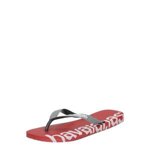 HAVAIANAS Žabky 'LOGOMANIA'  červená / sivá