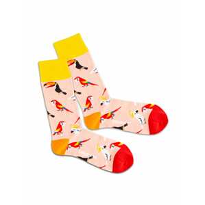 DillySocks Ponožky  zmiešané farby / ružová / žltá / červená / oranžová