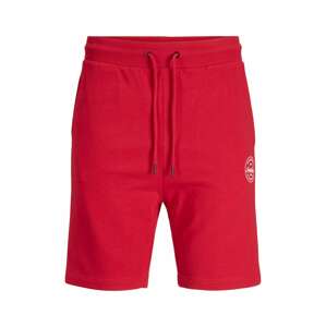 Jack & Jones Junior Nohavice 'Shark'  bordová / biela