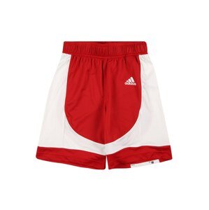 ADIDAS PERFORMANCE Športové nohavice  krvavo červená / biela