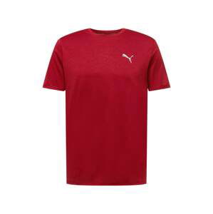 PUMA Funktionsshirt  karmínovo červená