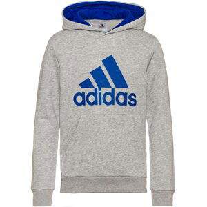 ADIDAS PERFORMANCE Hoodie  modrá / sivá